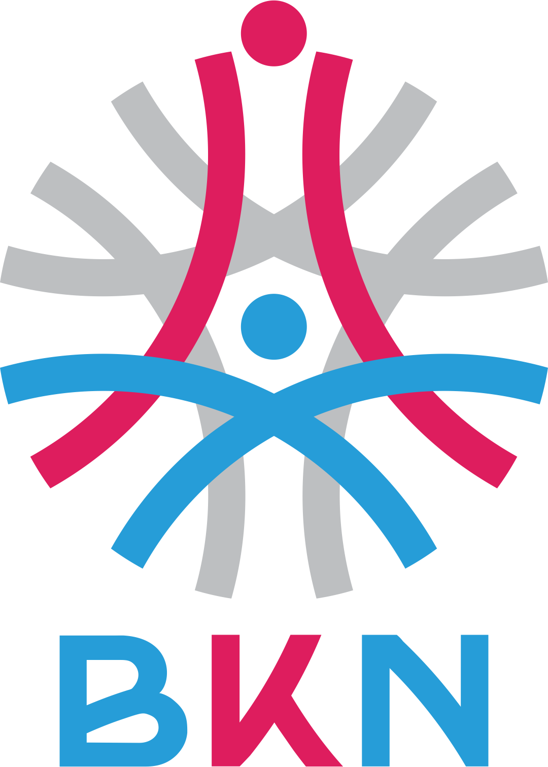 Web BKN